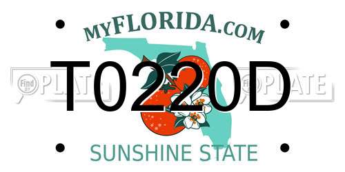 T0220D Florida License Plate