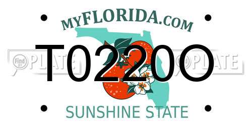 T0220O Florida License Plate