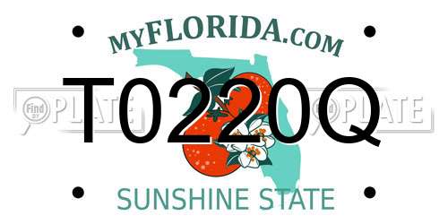 T0220Q Florida License Plate