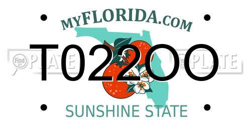 T022OO Florida License Plate