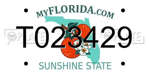 T023429 Florida License Plate