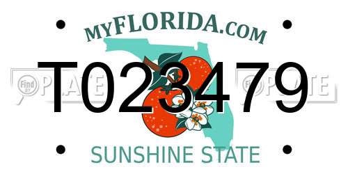 T023479 Florida License Plate
