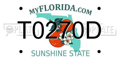 T0270D Florida License Plate
