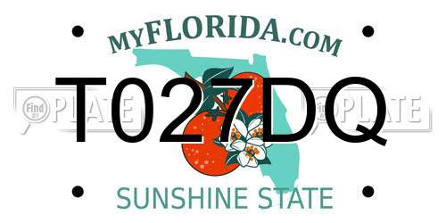 T027DQ Florida License Plate
