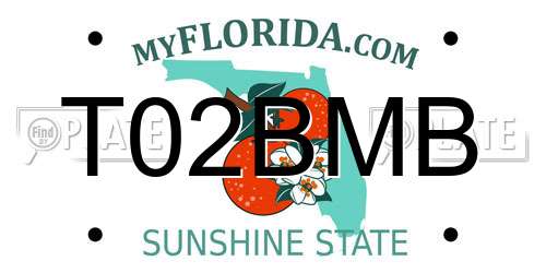 T02BMB Florida License Plate