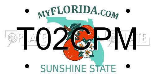 T02CPM Florida License Plate