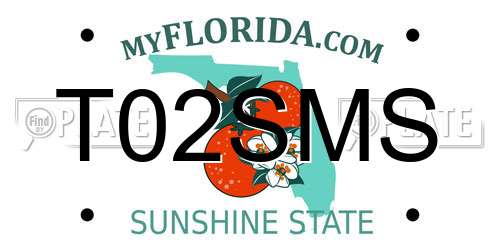 T02SMS Florida License Plate