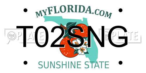 T02SNG Florida License Plate