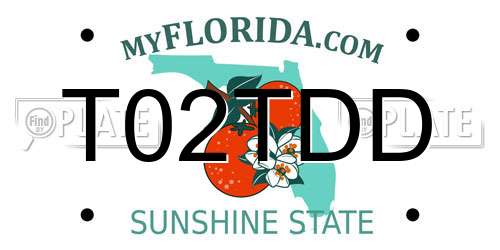 T02TDD Florida License Plate