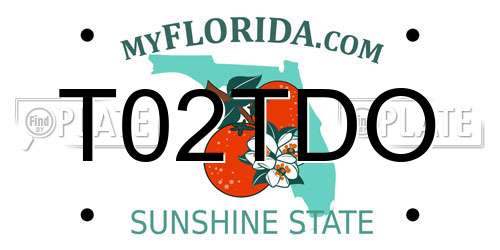 T02TDO Florida License Plate