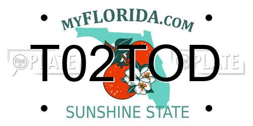 T02TOD Florida License Plate