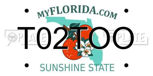 T02TOO Florida License Plate
