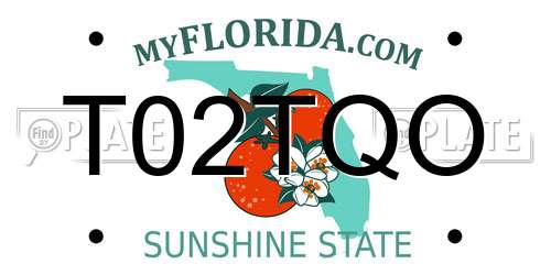 T02TQO Florida License Plate