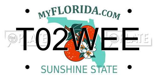 T02WEE Florida License Plate