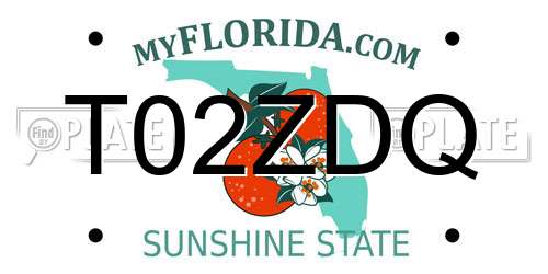 T02ZDQ Florida License Plate