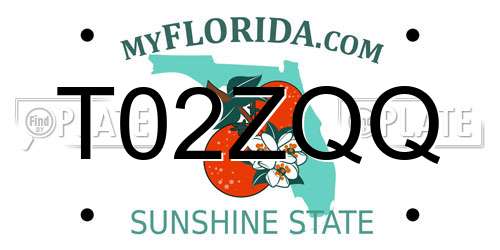 T02ZQQ Florida License Plate