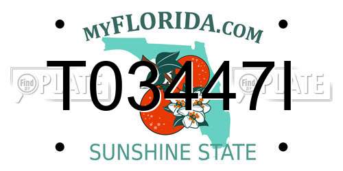 T03447I Florida License Plate