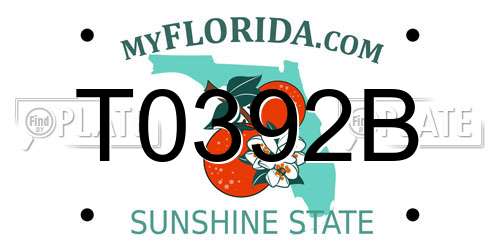 T0392B Florida License Plate