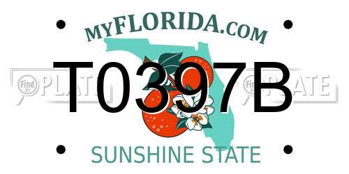 T0397B Florida License Plate