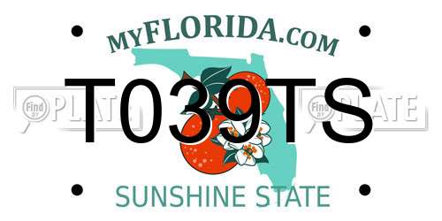 T039TS Florida License Plate