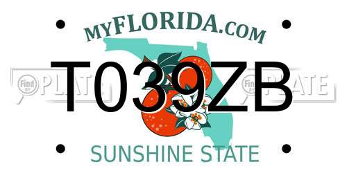 T039ZB Florida License Plate