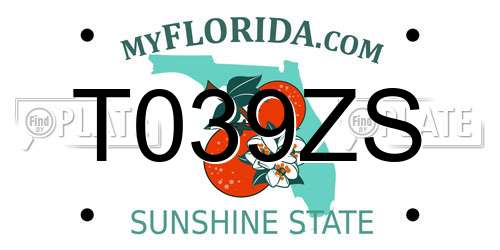 T039ZS Florida License Plate
