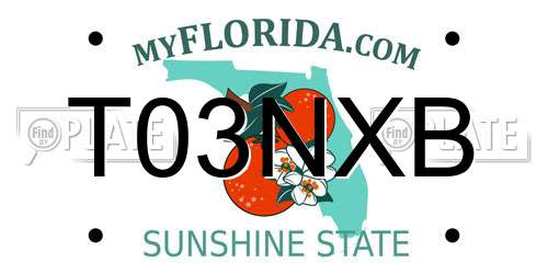 T03NXB Florida License Plate