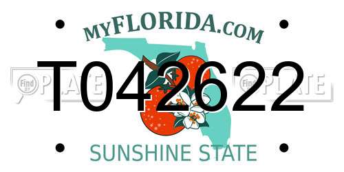 T042622 Florida License Plate