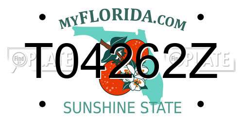 T04262Z Florida License Plate