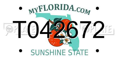 T042672 Florida License Plate