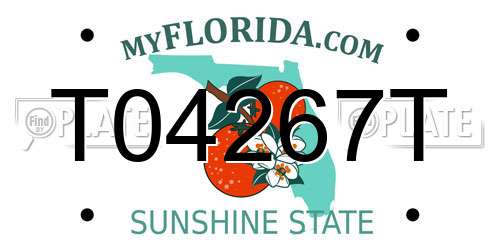 T04267T Florida License Plate