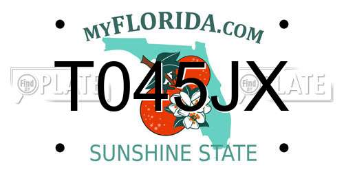 T045JX Florida License Plate
