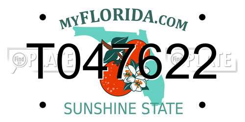 T047622 Florida License Plate
