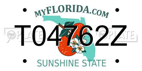 T04762Z Florida License Plate