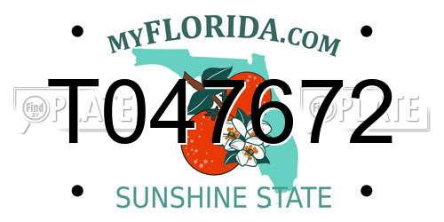 T047672 Florida License Plate