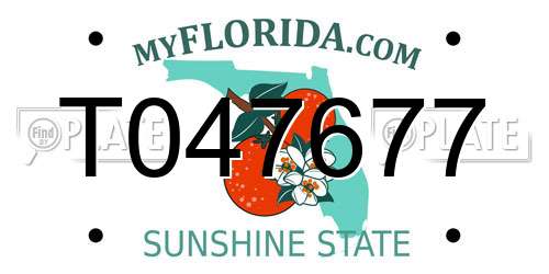 T047677 Florida License Plate
