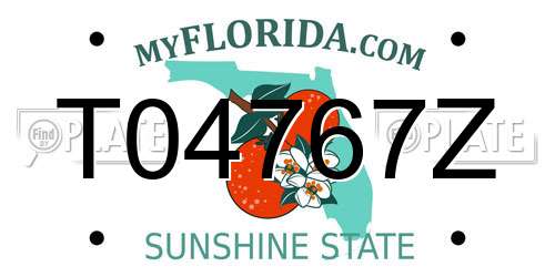 T04767Z Florida License Plate