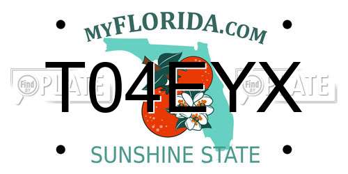 T04EYX Florida License Plate