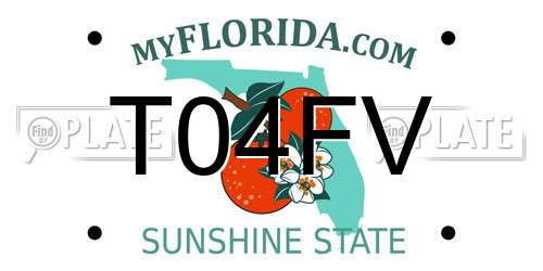 T04FV Florida License Plate
