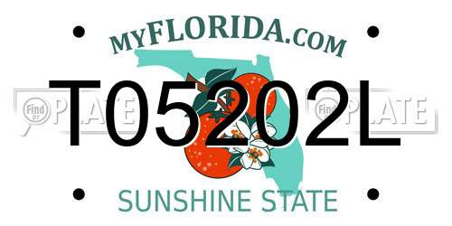 T05202L Florida License Plate