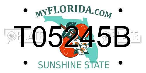 T05245B Florida License Plate