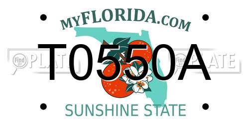 T0550A Florida License Plate