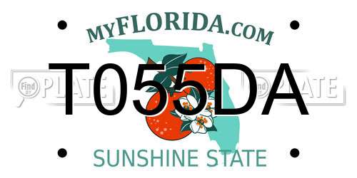T055DA Florida License Plate