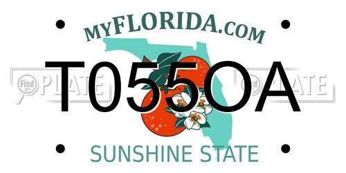 T055OA Florida License Plate