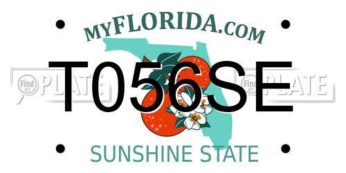 T056SE Florida License Plate