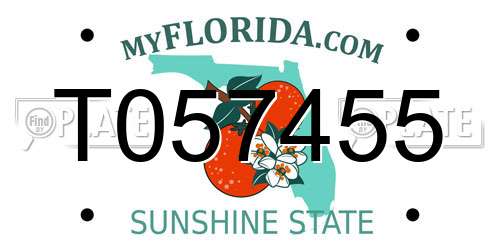 T057455 Florida License Plate