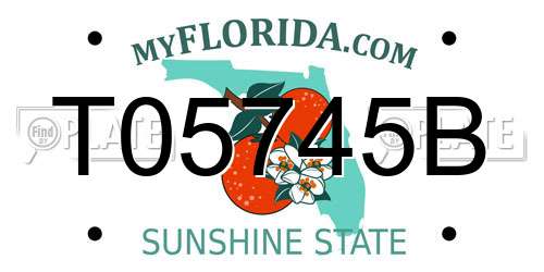 T05745B Florida License Plate