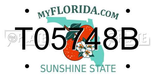 T05748B Florida License Plate