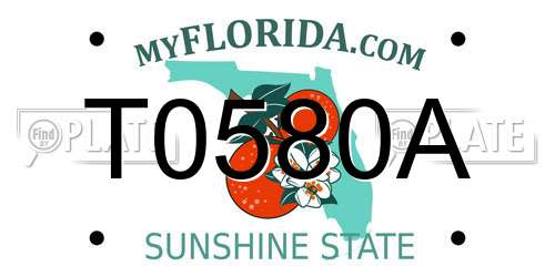 T0580A Florida License Plate