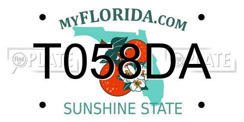T058DA Florida License Plate